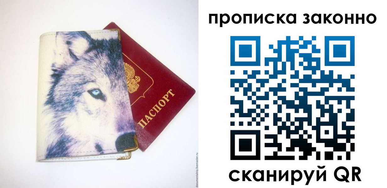 прописка гарантия в Саранске